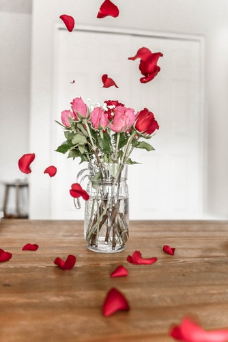 rose vase petals